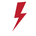 vigo logo